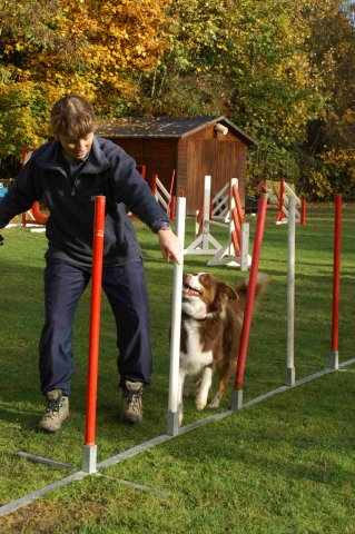 agility 2011-10-30